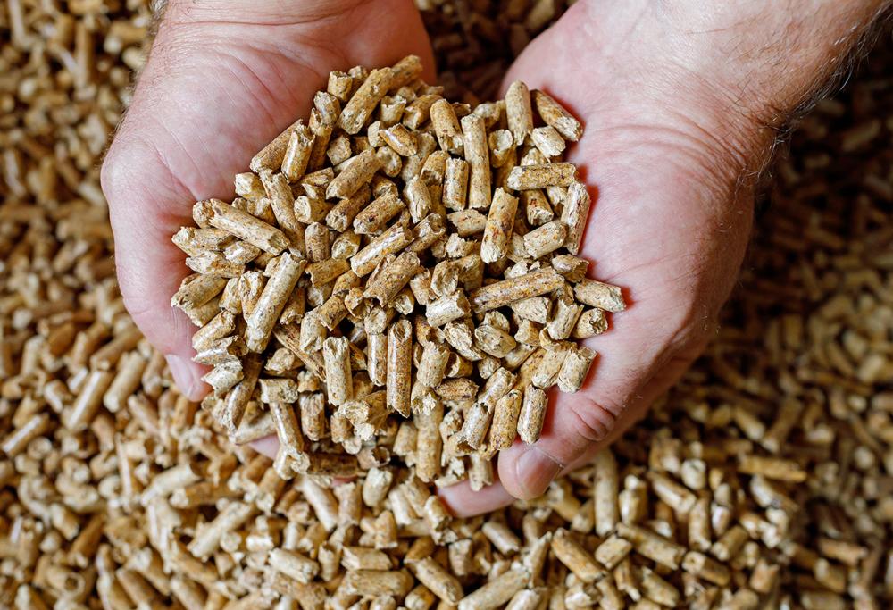 activity poel a granule