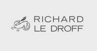 richard le droff lego